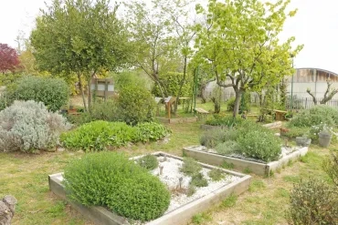 Jardins en carré et bosquets de plantes aromatiques avec quelques arbres et arbustes