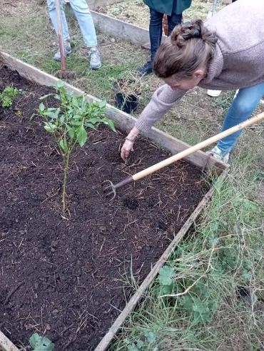 Un adulte prépare le sol avec un croc dans un carré potager devant un groupe d'adulte 