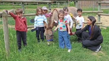 Un groupe d'enfants et leur animatrice brossent un âne