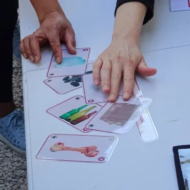 des adultes jouent à un jeu avec des images  