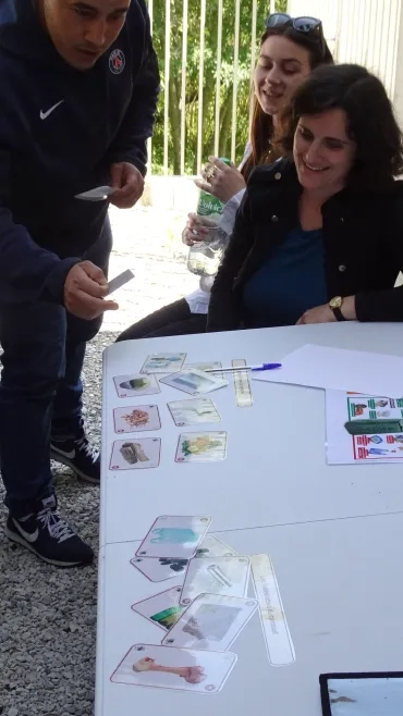 Un adulte dépose des images sur une table