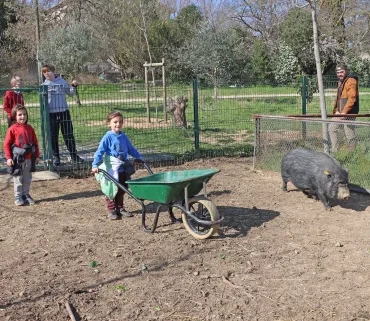 des enfants entrent dans l'enclos des cocghons avec une brouette