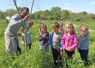 Un groupe d'enfants et leur animateur observent les branches d'un arbre