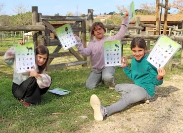 Des enfants, assises par terre en extérieur, montrent des fiches avec des dessins d'animaux