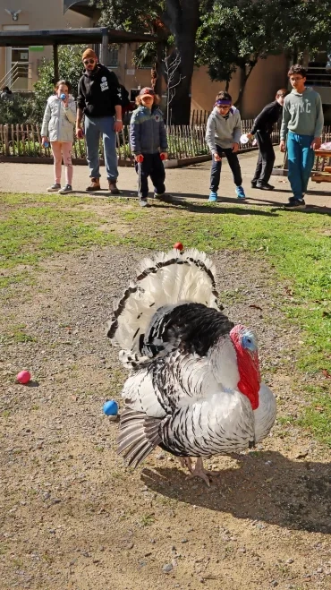 un dindon en premier plan empêche un groupe d'enfant de jeter leurs boules molles
