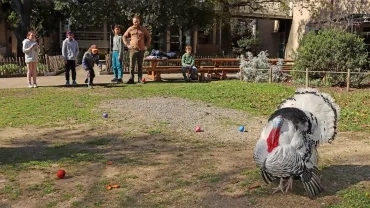un dindon en premier plan empêche un groupe d'enfant de jeter leurs boules molles