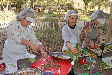 Des enfants avec tabliers et charlottes cuisinent des légumes sur des tables extérieures 