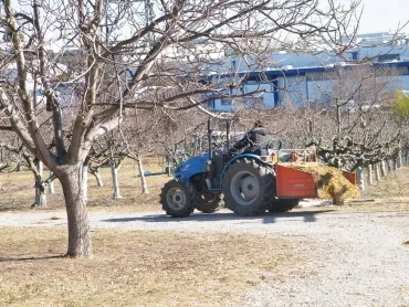 Tracteur avec une benne chargé de fumier sur un chemin au milieu des arbres