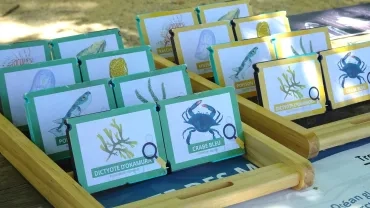 Un jeu sur les animaux marins 