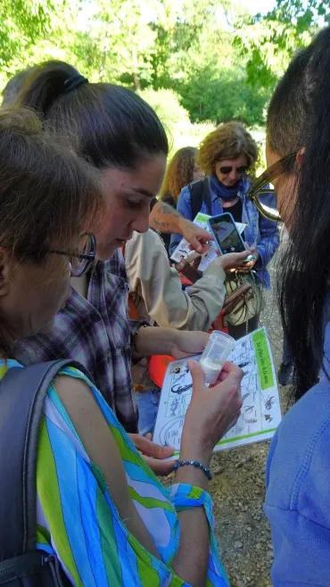 Un groupe d'adultes cherche un insecte avec une clé d'identification