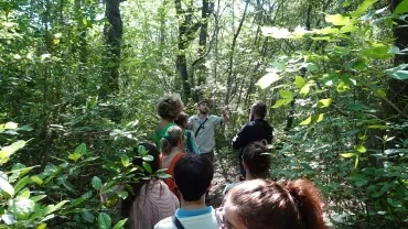 Un groupe d'adultes est dans une forêt