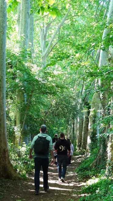 deux adultes sont dans une allée d'arbres