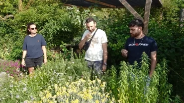 Trois adultes sentent des plantes aromatiques devant un jardin des sens