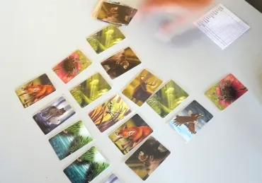 cartes du jeu "écosystème forêt"