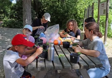 un groupe d'enfants et leur animatrice placent des morceaux de plante dans des godets en plastique