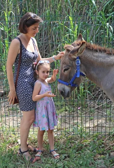 Une mère et sa fille caressent la tête d'un âne