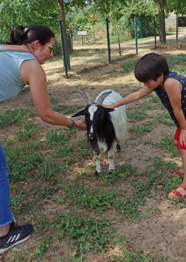 une mère et son fils caressent un bouc