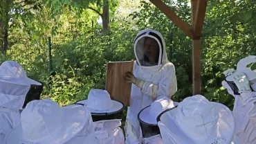 un groupe d'enfants et leur animatrice avec des tenues d'apiculteurs observent un cadre de ruche