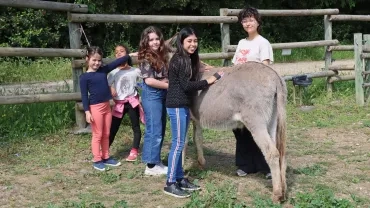 un groupe d'enfants et leur animatrice brossent un âne
