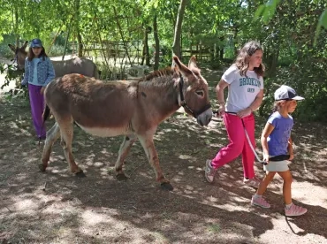 deux enfants dirigent un âne
