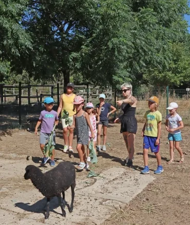 Un groupe d'enfants et leur animatrice suivent un mouton