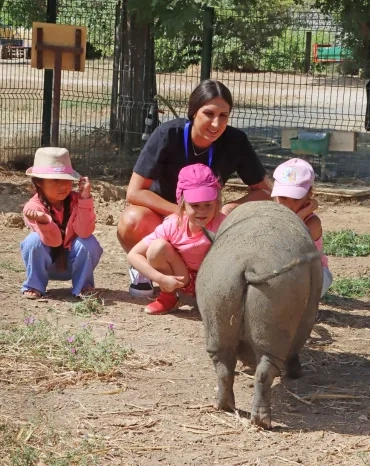 un groupe d'enfants et leur animatrice sont face à un cochon
