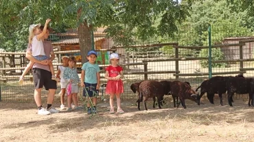 un groupe d'enfants et leur animateur s'approche du troupeau de moutons