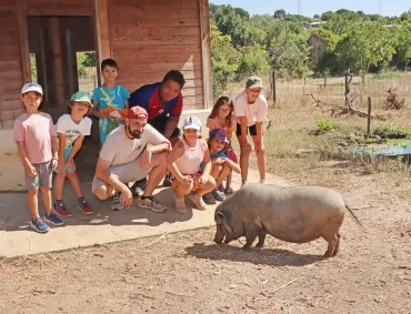 Un groupe d'enfants et leurs animateurs nourrissent un cochon dans son enclos