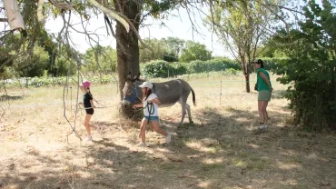 Une animatrice suit deux enfants qui font faire un parcours à l'âne