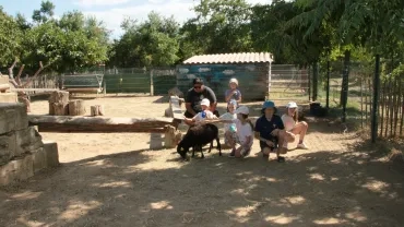 Un animateur avec six enfants posent avec les moutons