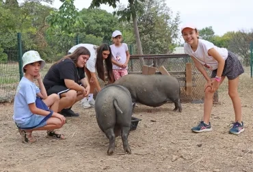 Un groupe d'enfant et deux animatrices sont autour des cochons