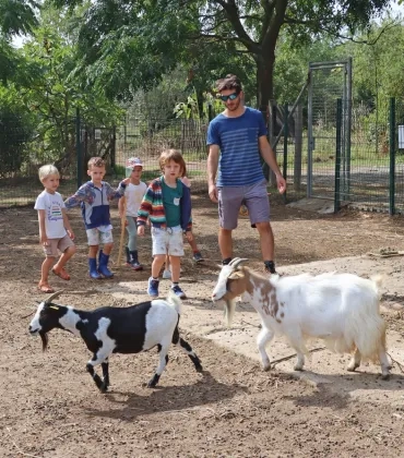 Un groupe d'enfant et un animateur écartent les bras pour diriger deux chèvres