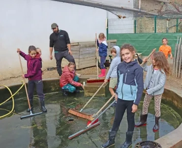 un groupe d'enfants et leur animateur frottent l'intérieur d'un bassin avec des balais