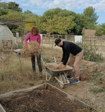 Des participants ramène de la paille pour le sol