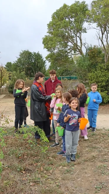 un groupe d'enfants et leurs animateurs récolte des plantes