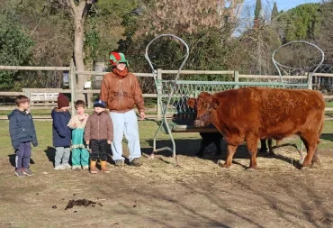 un groupe d'enfants et leur animateur posent à côté d'un boeuf