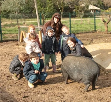 un groupe d'enfants et leurs animatrices observent un cochon