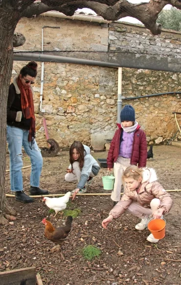 un groupe d'enfants et leur animatrice donnent des limaces à des poules