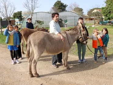 un groupe d'enfants et leur animateur sont à côté de deux ânes 