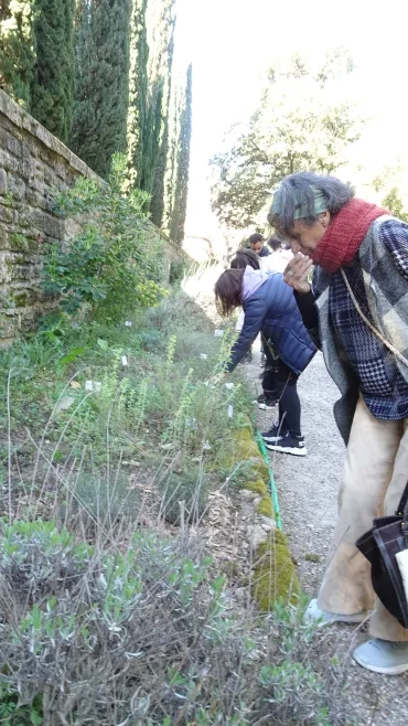 Les participants essaient de reconnaître les odeurs des plantes aromatiques.