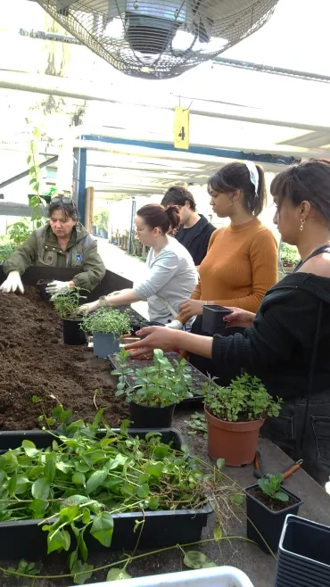 Les participants réalisent des boutures de plantes vivaces.