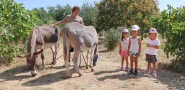 Un groupe d'enfants et leur animateur sont avec deux ânes