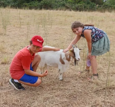 deux enfants caressent une chèvre