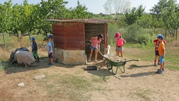 Vacances d'été - 20 au 24 août 2018
