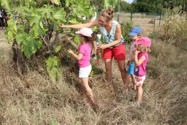 Vacances d'été - 27 au 31 août 2018