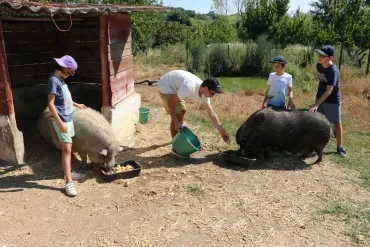 Vacances d'été - 23 au 27 juillet 2018