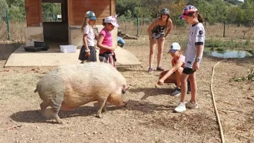 Vacances d'été - 7 au 11 août 2023