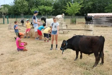 Vacances d'été - 8 au 12 juillet 2019
