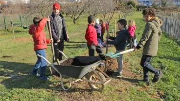 Mercredis de janvier 2019