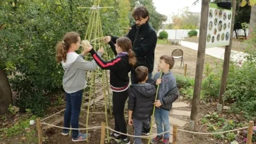 Mercredis de novembre 2018